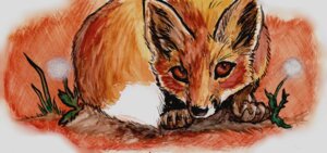 Rating: Safe Score: 0 Tags: 2012 ambiguous_gender brown_body brown_fur brown_sclera canid canine claws digitigrade dipstick_tail e621 feral fox fur mammal markings orange_theme paws red_fox solo spera tail tail_markings true_fox warm_colors white_body white_fur User: bunchy7s Rating: Safe Score: 0 Tags: 2012 ambiguous_gender brown_body brown_fur brown_sclera canid canine claws digitigrade dipstick_tail e621 feral fox fur mammal markings orange_theme paws red_fox solo spera tail tail_markings true_fox warm_colors white_body white_fur User: bunchy7s