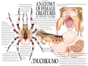 Rating: Explicit Score: 0 Tags: 6_eyes anatomy_of_female_creatures arachnid arthropod asian_mythology cryptozoology e621 east_asian_mythology english_text fangs female gaping_mouth human hybrid japanese_mythology mammal model_sheet mouth_shot multi_eye multiple_angles mythology nightmare_fuel open_mouth shungo_yazawa side_view solo spider spinneret teeth text tsuchigumo what User: bunchy7s