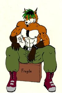 Rating: Questionable Score: 0 Tags: anthro boots canid canine clothing ddw e621 footwear fox hi_res male mammal ms muscular muscular_anthro muscular_male paint shoes solo User: bunchy7s