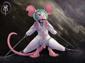 Rating: Explicit Score: 0 Tags: anthro ball_gag balls bdsm big_ears biped blush bondage bound buckteeth claws cock_and_ball_torture collar crouching e621 flaccid foreskin fur gag gagged genital_torture genitals hair humanoid_genitalia humanoid_penis kailys male mammal mouse murid murine navel nude penis penis_bondage red_eyes restrained rodent rope small_penis solo submissive submissive_male teeth whiskers white_body white_fur User: bunchy7s Rating: Explicit Score: 0 Tags: anthro ball_gag balls bdsm big_ears biped blush bondage bound buckteeth claws cock_and_ball_torture collar crouching e621 flaccid foreskin fur gag gagged genital_torture genitals hair humanoid_genitalia humanoid_penis kailys male mammal mouse murid murine navel nude penis penis_bondage red_eyes restrained rodent rope small_penis solo submissive submissive_male teeth whiskers white_body white_fur User: bunchy7s