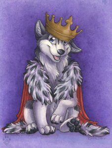 Rating: Safe Score: 0 Tags: 2012 4_toes ambiguous_gender barefoot black_nose blue_eyes canid canine canis cape clothed clothing crown digitigrade domestic_dog e621 feet feral front_view fur fur_trim_(clothing) grey_body grey_fur headgear husky idess king looking_at_viewer mammal nordic_sled_dog open_mouth open_smile pawpads purple_background quadruped royalty simple_background sitting smile solo spitz toes toony white_body white_fur User: bunchy7s