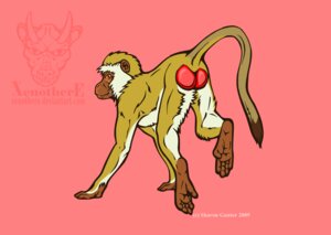 Rating: Questionable Score: 0 Tags: 2009 blush chlorocebus e621 feet feral fur hair haplorhine hindpaw male mammal monkey nude old_world_monkey paws prehensile_feet primate red_background simple_background solo toes vervet_monkey xenothere User: bunchy7s Rating: Questionable Score: 0 Tags: 2009 blush chlorocebus e621 feet feral fur hair haplorhine hindpaw male mammal monkey nude old_world_monkey paws prehensile_feet primate red_background simple_background solo toes vervet_monkey xenothere User: bunchy7s