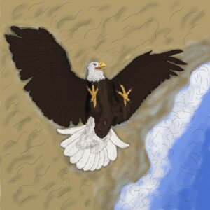 Rating: Explicit Score: 0 Tags: 1:1 2012 accipitrid accipitriform animal_genitalia avian avian_butt bald_eagle beach bird bird's-eye_view cloaca detailed_background e621 eagle feet feral ferobird genitals hi_res high-angle_view male outside pinup pose presenting presenting_cloaca ray_(ferobird) round_cloaca sand sea_eagle seaside solo spread_eagle talons toes water wet wings User: bunchy7s