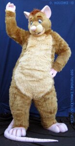Rating: Safe Score: 0 Tags: anthro blue_eyes buckteeth clothing costume derp_eyes e621 fursuit grandfathered_content looking_at_viewer male mammal murid murine rat real rodent ryngs_ratt ryngsraccoon solo stickypawz tail teeth User: bunchy7s