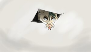 Rating: Safe Score: 0 Tags: ambiguous_gender ceiling_cat domestic_cat e621 felid feline felis mammal meme open_mouth simple_background solo teeth tongue uhoh what white_background wingless_chimera User: bunchy7s