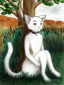 Rating: Safe Score: 0 Tags: 3:4 acru_jovian anthro bell biped cattail_(plant) cloud collar detailed_background domestic_cat e621 felid feline felis full-length_portrait fur glistening graphite_(artwork) grass hill honest leaf male mammal markings mixed_media nature outside painting_(artwork) plant portrait sitting sky solo spots spotted_body traditional_media_(artwork) traditional_painting_(artwork) traditional_watercolor_(artwork) tree watercolor_(artwork) User: bunchy7s