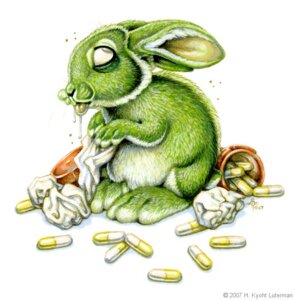 Rating: Safe Score: 0 Tags: 2007 ambiguous_gender bodily_fluids drooling drugs e621 eye_roll feral fur green_body green_fur kyoht_luterman lagomorph leporid long_ears mammal nude pills rabbit saliva simple_background solo tissue tongue tongue_out white_background User: bunchy7s Rating: Safe Score: 0 Tags: 2007 ambiguous_gender bodily_fluids drooling drugs e621 eye_roll feral fur green_body green_fur kyoht_luterman lagomorph leporid long_ears mammal nude pills rabbit saliva simple_background solo tissue tongue tongue_out white_background User: bunchy7s