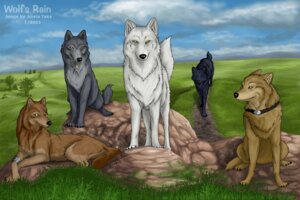 Rating: Safe Score: 0 Tags: 2003 akela_taka black_body black_fur blue_(wolf's_rain) brown_body brown_fur canid canine canis cloud collar e621 feral fur grey_body grey_fur group hige_(wolf's_rain) kiba_(wolf's_rain) male mammal outside sky tail tan_body tan_fur toboe_(wolf's_rain) tsume_(wolf's_rain) white_body white_fur wolf wolf's_rain yellow_eyes User: bunchy7s