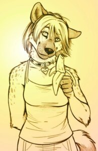 Rating: Safe Score: 0 Tags: 2006 anthro arms_bent banana biped black_nose camisole clothed clothing collar collar_tag e621 ena female food fruit hair hand_behind_back heart_collar_tag heart_tag holding_banana holding_food holding_fruit holding_object hyena mammal plant ren52 shirt short_hair solo spots spotted_hyena standing tail topwear unavailable_at_source User: bunchy7s