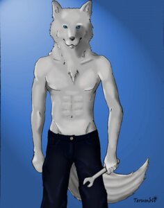 Rating: Safe Score: 0 Tags: 5_fingers abs anthro biped blue_background blue_eyes bottomwear canid canine canis chest_tuft clothed clothing e621 fingers front_view fur grey_body grey_fur hi_res holding_object holding_tool looking_at_viewer male mammal pants portrait simple_background solo standing terumbli three-quarter_portrait tools topless tuft wolf wrench User: bunchy7s