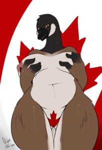 Rating: Explicit Score: 0 Tags: 2014 anatid anseriform anserine anthro avian beak big_breasts bird breast_grab breasts canada canada_day canada_goose canadian_flag curvy_figure digital_media_(artwork) e621 female flag fondling genitals goose hand_on_breast hi_res holding_breast holidays looking_at_viewer maple_leaf navel nightfaux nipples non-mammal_breasts non-mammal_nipples nude pink_nipples pubes self_fondle slightly_chubby solo voluptuous vulva wide_hips User: bunchy7s