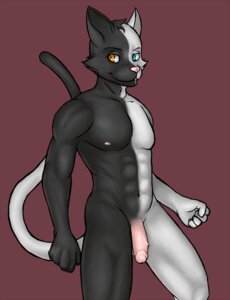 Rating: Explicit Score: 0 Tags: abs anthro balls battleorca biceps biped black_body black_fur blue_eyes darthzion domestic_cat e621 felid feline felis fur genitals grey_body grey_fur grin half-erect heterochromia humanoid_genitalia humanoid_penis male mammal muscular muscular_anthro muscular_male nipples nude orange_eyes pecs penis pink_nose pose presenting red_background simple_background smile solo split_color_body standing vein white_body white_fur User: bunchy7s