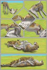 Rating: Explicit Score: 0 Tags: 2:3 after_sex animal_genitalia ball_lick balls black_border black_sheath_slit bodily_fluids border cheepard cheetah collaborative collaborative_fellatio collaborative_oral collaborative_sex cum cum_in_mouth cum_in_vagina cum_inside duo e621 erection eyes_closed felid feline fellatio female female_penetrated feral feral_on_feral genital_fluids genitals hi_res hybrid internal internal_oral leopard licking male male/female male_penetrating male_penetrating_female mammal oral oral_penetration pantherine penetration penile penile_spines penis penis_lick penis_tip sex sheath sheath_slit snow_leopard tongue tongue_out vaginal User: bunchy7s Rating: Explicit Score: 0 Tags: 2:3 after_sex animal_genitalia ball_lick balls black_border black_sheath_slit bodily_fluids border cheepard cheetah collaborative collaborative_fellatio collaborative_oral collaborative_sex cum cum_in_mouth cum_in_vagina cum_inside duo e621 erection eyes_closed felid feline fellatio female female_penetrated feral feral_on_feral genital_fluids genitals hi_res hybrid internal internal_oral leopard licking male male/female male_penetrating male_penetrating_female mammal oral oral_penetration pantherine penetration penile penile_spines penis penis_lick penis_tip sex sheath sheath_slit snow_leopard tongue tongue_out vaginal User: bunchy7s