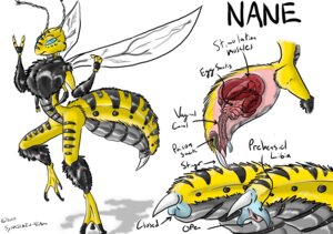 Rating: Explicit Score: 0 Tags: anatomy anthro arthropod bee biological_illustration black_body black_fur e621 female fur hymenopteran insect internal nane organs poison_sack solo stinger synxirazu-niam technical_illustration venom_sack yellow_body User: bunchy7s