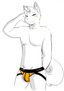 Rating: Safe Score: 0 Tags: anthro blush bulge canid canine clothing e621 fur hi_res jockstrap male mammal simple_background solo tohfu underwear white_body white_fur User: bunchy7s Rating: Safe Score: 0 Tags: anthro blush bulge canid canine clothing e621 fur hi_res jockstrap male mammal simple_background solo tohfu underwear white_body white_fur User: bunchy7s