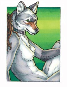 Rating: Questionable Score: 0 Tags: alpha_ki anthro breasts canid canine canis collar collar_only coyote e621 female low_res mammal naturally_censored nipple_tuft nude portrait shimmerhawk side_boob solo three-quarter_portrait tuft User: bunchy7s