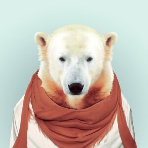 Rating: Safe Score: 0 Tags: 1:1 ambiguous_gender anthro bear black_nose black_sclera blue_background clothed clothing e621 fur looking_at_viewer mammal polar_bear simple_background solo ursine white_body white_fur yago_partal User: bunchy7s Rating: Safe Score: 0 Tags: 1:1 ambiguous_gender anthro bear black_nose black_sclera blue_background clothed clothing e621 fur looking_at_viewer mammal polar_bear simple_background solo ursine white_body white_fur yago_partal User: bunchy7s