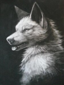Rating: Safe Score: 0 Tags: 2013 3:4 ambiguous_gender black_background bust_portrait canid canine charcoal_(artwork) e621 falvie feral fur greyscale mammal monochrome open_mouth portrait shaded simple_background solo teeth tongue tongue_out traditional_media_(artwork) User: bunchy7s