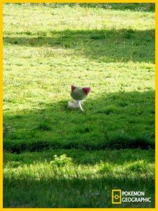 Rating: Safe Score: 0 Tags: ambiguous_gender e621 english_text generation_3_pokemon grass humanoid izzatakiwa mixed_media national_geographic nature nintendo not_furry outside photo_background photography_(artwork) plant pokemon pokemon_(species) pokemon_geographic ralts solo text User: bunchy7s