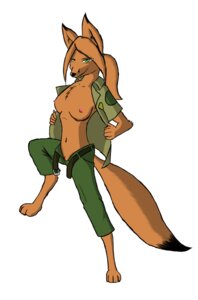 Rating: Questionable Score: 0 Tags: anthro breasts canid canine e621 female fox green_eyes hi_res mackdog mammal nipples ranger simple_background solo tail trixi_the_vixen white_background User: bunchy7s