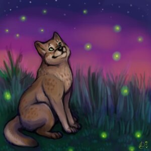 Rating: Safe Score: 0 Tags: 1:1 2011 canid canine canis detailed detailed_background e621 female feral gravewalker mammal night outside quadruped sky solo star starry_sky tail toony wolf User: bunchy7s Rating: Safe Score: 0 Tags: 1:1 2011 canid canine canis detailed detailed_background e621 female feral gravewalker mammal night outside quadruped sky solo star starry_sky tail toony wolf User: bunchy7s