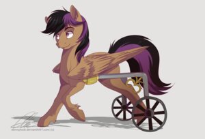 Rating: Safe Score: 0 Tags: 2014 black_hair disability dvixie e621 equid equine feathered_wings feathers feral friendship_is_magic hair hasbro male male_feral mammal multicolored_hair my_little_pony mythological_creature mythological_equine mythology pegasus purple_eyes purple_hair simple_background solo stellar_eclipse_(mlp) text two_tone_hair url vehicle wheelchair white_background wings User: bunchy7s