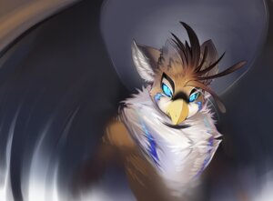 Rating: Safe Score: 0 Tags: avian beak blue_eyes chest_tuft countershading e621 facial_markings feathered_wings feathers feral fur gryphon head_markings heterochromia looking_at_viewer male markings mythological_avian mythological_creature mythology sketch solo tsampikos tuft wings User: bunchy7s Rating: Safe Score: 0 Tags: avian beak blue_eyes chest_tuft countershading e621 facial_markings feathered_wings feathers feral fur gryphon head_markings heterochromia looking_at_viewer male markings mythological_avian mythological_creature mythology sketch solo tsampikos tuft wings User: bunchy7s
