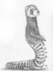 Rating: Safe Score: 0 Tags: 2013 ambiguous_gender bone cybernetics cyborg domestic_ferret e621 feral foxia greyscale machine mammal monochrome mustelid musteline reptile scalie skeleton sketch snake solo surrealism true_musteline weasel what_has_science_done where_is_your_god_now User: bunchy7s