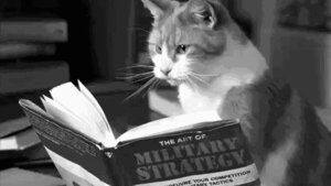 Rating: Safe Score: 0 Tags: ambiguous_gender animated animated_gif domestic_cat e621 felid feline felis feral grandfathered_content low_res mammal reading real short_playtime solo tabby_cat unknown_artist User: bunchy7s
