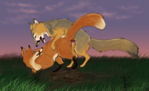 Rating: Explicit Score: 0 Tags: canine color female feral fox grey knot knotting original original_character original_characters pink purple red_(tsareia) rule34 sex silver sunrise sunset tod_(tsareia) tsareia User: bunchy7s