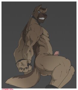 Rating: Explicit Score: 0 Tags: 4_fingers anthro blue_eyes bodily_fluids border bound brown_hair butt canid canine canis claws cum domestic_dog e621 erection facial_markings fingers genital_fluids genitals grey_background hair head_markings humanoid_genitalia humanoid_penis looking_aside looking_at_viewer male mammal markings muscular muscular_anthro muscular_male muzzle_(marking) nipples nude penis short_hair side_view simple_background snout snout_markings solo submissive submissive_male superslickslasher tail teeth white_border User: bunchy7s