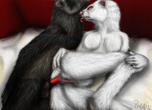 Rating: Explicit Score: 0 Tags: anal anthro domestic_ferret duo e621 erection female foxia genitals male male/female mammal mustelid musteline nude penis sex tail true_musteline vulva weasel User: bunchy7s