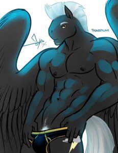 Rating: Questionable Score: 0 Tags: 2013 abs anthro anthrofied bgn biceps black_body black_feathers black_fur black_nipples briefs clothed clothing cutie_mark digital_media_(artwork) e621 equid equine feathered_wings feathers friendship_is_magic fur hair hasbro looking_at_viewer male mammal mohawk multicolored_hair muscular muscular_anthro muscular_male my_little_pony mythological_creature mythological_equine mythology nipples pecs pegasus pose pubes signature solo thunderlane_(mlp) topless underwear wings yellow_eyes User: bunchy7s