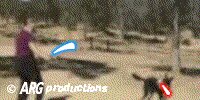 Rating: Safe Score: 0 Tags: 2:1 2d_animation ambiguous_gender animated animated_gif blue_lightsaber canid canine canis domestic_dog duo e621 feral fight grandfathered_content holding_lightsaber holding_melee_weapon holding_object holding_weapon human lightsaber low_res male mammal melee_weapon object_in_mouth red_lightsaber short_playtime star_wars thumbnail unknown_artist watermark weapon what User: bunchy7s