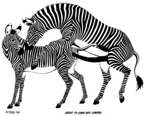 Rating: Explicit Score: 0 Tags: 1997 all_fours animal_genitalia animal_penis animal_vulva anus doggystyle duo e621 english_text equid equine equine_genitalia equine_penis equine_vulva erection female feral feral_on_feral from_behind_position fur genitals hooves long_penis looking_back male male/female mammal monochrome mounting nude penis quadruped sex simple_background striped_body striped_fur stripes tail tail_anus tail_tuft text tim_o'rourke tuft vulva white_background zebra User: bunchy7s Rating: Explicit Score: 0 Tags: 1997 all_fours animal_genitalia animal_penis animal_vulva anus doggystyle duo e621 english_text equid equine equine_genitalia equine_penis equine_vulva erection female feral feral_on_feral from_behind_position fur genitals hooves long_penis looking_back male male/female mammal monochrome mounting nude penis quadruped sex simple_background striped_body striped_fur stripes tail tail_anus tail_tuft text tim_o'rourke tuft vulva white_background zebra User: bunchy7s