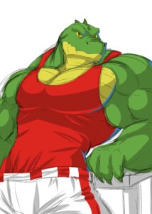 Rating: Safe Score: 0 Tags: anthro biceps big_muscles biped clothing crocodile crocodilian e621 hi_res looking_at_viewer male muscular muscular_anthro muscular_male pecs pose reptile scales scalie shirt simple_background solo standing tank_top topwear wani white_background yongdasom User: bunchy7s