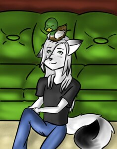 Rating: Safe Score: 0 Tags: anas anatid anseriform anthro avian bird canid canine dabbling_duck duck duo e621 feral fox furniture hair madadh_ruadh male mallard mammal sofa tail white_hair zerineth User: bunchy7s Rating: Safe Score: 0 Tags: anas anatid anseriform anthro avian bird canid canine dabbling_duck duck duo e621 feral fox furniture hair madadh_ruadh male mallard mammal sofa tail white_hair zerineth User: bunchy7s