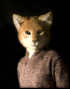 Rating: Safe Score: 0 Tags: anthro brown_eyes clothing costume domestic_cat e621 felid feline felis female fursuit grandfathered_content mammal pupils qarrezel real slit_pupils solo sweater topwear User: bunchy7s Rating: Safe Score: 0 Tags: anthro brown_eyes clothing costume domestic_cat e621 felid feline felis female fursuit grandfathered_content mammal pupils qarrezel real slit_pupils solo sweater topwear User: bunchy7s