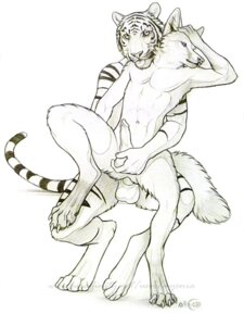 Rating: Explicit Score: 0 Tags: 2011 3:4 anal anal_penetration anthro anthro_on_anthro balls black_and_white canid canine claws duo e621 erection feet felid fondling fox from_behind_position genitals hindpaw male male/male male_penetrated male_penetrating male_penetrating_male mammal monochrome myenia nude pantherine paws penetration penis sex simple_background sketch tail tiger white_background User: bunchy7s Rating: Explicit Score: 0 Tags: 2011 3:4 anal anal_penetration anthro anthro_on_anthro balls black_and_white canid canine claws duo e621 erection feet felid fondling fox from_behind_position genitals hindpaw male male/male male_penetrated male_penetrating male_penetrating_male mammal monochrome myenia nude pantherine paws penetration penis sex simple_background sketch tail tiger white_background User: bunchy7s