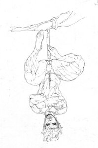 Rating: Safe Score: 0 Tags: anthro barefoot biped black_and_white branch brett_booth clinging clothed clothing crossed_arms e621 feet front_view hair hanging_by_tail hanging_from_branch haplorhine in_tree male mammal monkey monochrome muscular muscular_anthro muscular_male plant primate short_hair simple_background solo tail tattoo thong topless tree underwear upside_down white_background User: bunchy7s Rating: Safe Score: 0 Tags: anthro barefoot biped black_and_white branch brett_booth clinging clothed clothing crossed_arms e621 feet front_view hair hanging_by_tail hanging_from_branch haplorhine in_tree male mammal monkey monochrome muscular muscular_anthro muscular_male plant primate short_hair simple_background solo tail tattoo thong topless tree underwear upside_down white_background User: bunchy7s