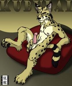 Rating: Explicit Score: 0 Tags: 2003 4_toes aberan anthro balls biped black_body black_fur chinese_text claws e621 english_text erection eyes_closed feet felid feline fur genitals hindpaw japanese_text male mammal multicolored_body multicolored_fur nipples nude pawpads paws penis serval signature sitting solo spots tail tan_body tan_fur text toe_claws toes translated watermark white_body white_fur User: bunchy7s