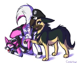 Rating: Explicit Score: 0 Tags: animal_genitalia animal_penis anus backsack ball_gag balls bdsm bodily_fluids bound candyfoxy canid canine canine_genitalia canine_penis canis clothing collar digital_media_(artwork) domestic_dog duo e621 erection eyes_closed female feral fully_bound gag gagged genital_fluids genitals german_shepherd handjob harness hat headgear headwear herding_dog husky intersex intersex/female intersex_feral kiba_kurokage knot leather maleherm maleherm/female maleherm_feral mammal nordic_sled_dog open_mouth orgasm_denial pastoral_dog penile penis precum presenting sex shaded sheath smile spitz teasing tongue vaginal_fluids vulva User: bunchy7s