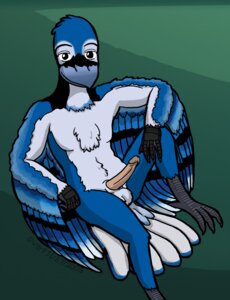 Rating: Explicit Score: 0 Tags: anthro avian balls beak bird blue_jay corvid e621 erection feathered_wings feathers genitals humanoid_genitalia humanoid_penis jay_(bird) male new_world_jay non-mammal_balls nude oscine passerine penis rictal_bristles solo svet tail tail_feathers tall wings User: bunchy7s