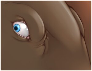 Rating: Safe Score: 0 Tags: ambiguous_form ambiguous_gender blue_eyes border brown_body brown_skin close-up dinosaur ducko e621 prehistoric_species reptile scalie solo unknown_species User: bunchy7s