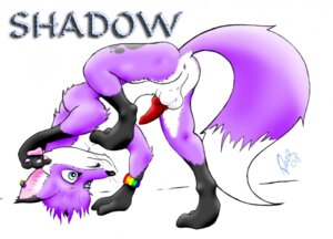 Rating: Explicit Score: 0 Tags: anus balls canid canine dipstick_tail e621 ear_piercing erection feral fox fur genitals hair knot male mammal markings nude penis piercing purple_body purple_fur purple_hair razr solo tail tail_markings User: bunchy7s Rating: Explicit Score: 0 Tags: anus balls canid canine dipstick_tail e621 ear_piercing erection feral fox fur genitals hair knot male mammal markings nude penis piercing purple_body purple_fur purple_hair razr solo tail tail_markings User: bunchy7s