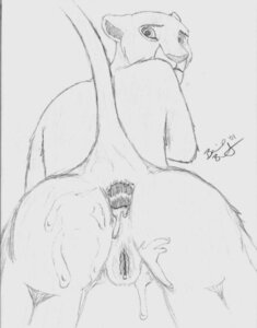 Rating: Explicit Score: 0 Tags: 2001 anthro anthrofied anus artist_request covered_in_cum disney feline female female_only fur furry furry_only lion mammal nala pussy rule34 solo tagme the_lion_king User: bunchy7s