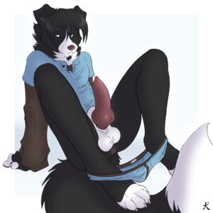 Rating: Explicit Score: 0 Tags: 1:1 4_toes amber_eyes animal_genitalia animal_penis annoyed anthro anus arm_support balls big_penis biped black_body black_fur black_hair border_collie bottomless briefs canid canine canine_genitalia canine_penis canis claws clothed clothing collie digitigrade domestic_dog e621 erection feet front_view fur genitals hair herding_dog hindpaw knot looking_at_viewer male mammal partially_clothed pastoral_dog paws penis presenting presenting_penis ran sheath sheepdog simple_background sitting solo straydog tail toe_claws toes underwear underwear_down white_background User: bunchy7s Rating: Explicit Score: 0 Tags: 1:1 4_toes amber_eyes animal_genitalia animal_penis annoyed anthro anus arm_support balls big_penis biped black_body black_fur black_hair border_collie bottomless briefs canid canine canine_genitalia canine_penis canis claws clothed clothing collie digitigrade domestic_dog e621 erection feet front_view fur genitals hair herding_dog hindpaw knot looking_at_viewer male mammal partially_clothed pastoral_dog paws penis presenting presenting_penis ran sheath sheepdog simple_background sitting solo straydog tail toe_claws toes underwear underwear_down white_background User: bunchy7s