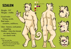 Rating: Explicit Score: 0 Tags: 2013 anthro anthrofied balls biped e621 english_text felid fur generation_1_pokemon genitals male mammal model_sheet nintendo nude persian_(pokemon) pokemon pokemon_(species) pokemorph raus solo standing szalen text User: bunchy7s