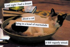 Rating: Safe Score: 0 Tags: ambiguous_gender book bowl calico_cat cats_are_liquid collage_(artwork) container domestic_cat dream e621 english_text felid feline felis feral grandfathered_content hi_res humor image_macro looking_at_viewer mammal meme mixed_media real solo tabby_cat text unknown_artist what User: bunchy7s