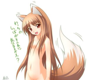 Rating: Explicit Score: 0 Tags: 1girls female flat_chest holo kazami_karasu rule34 spice_and_wolf tagme translation_request User: bunchy7s
